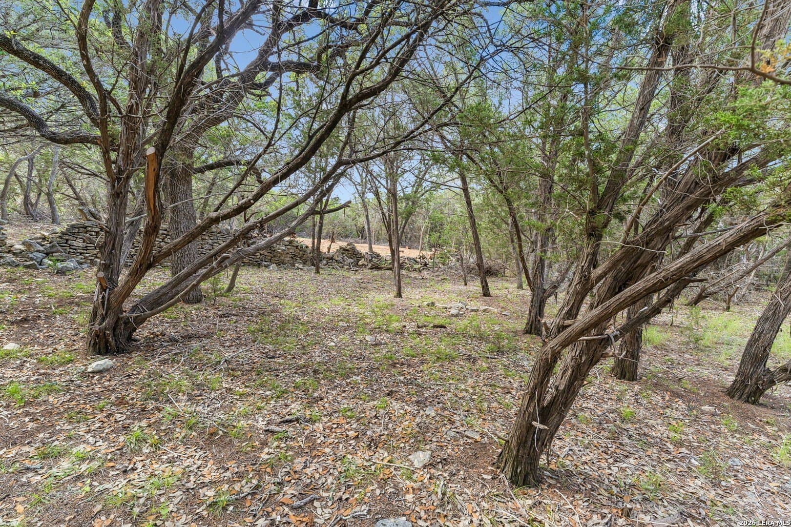 3.12 acres in Blanco County - photo 6