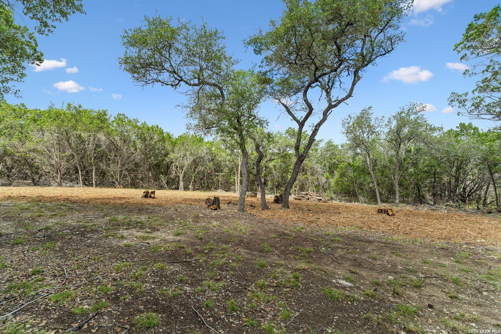 3.12 acres in Blanco County - photo 10