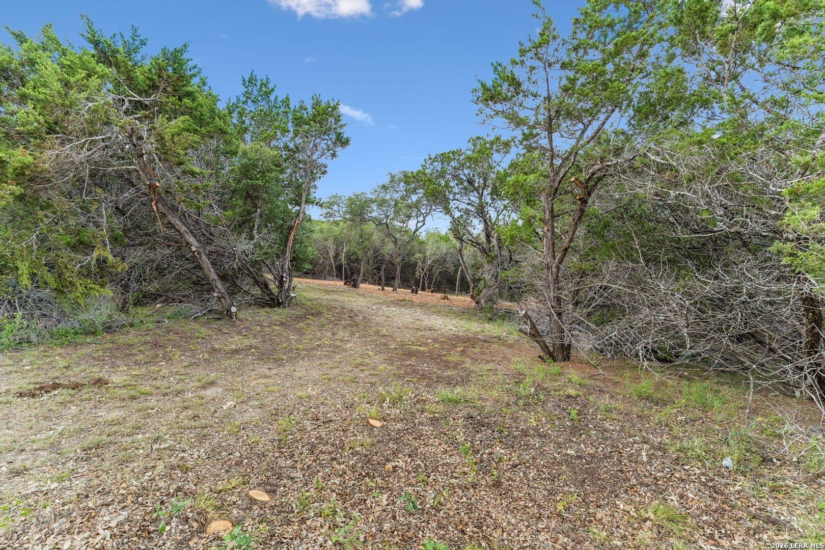 3.12 acres in Blanco County gallery image 4