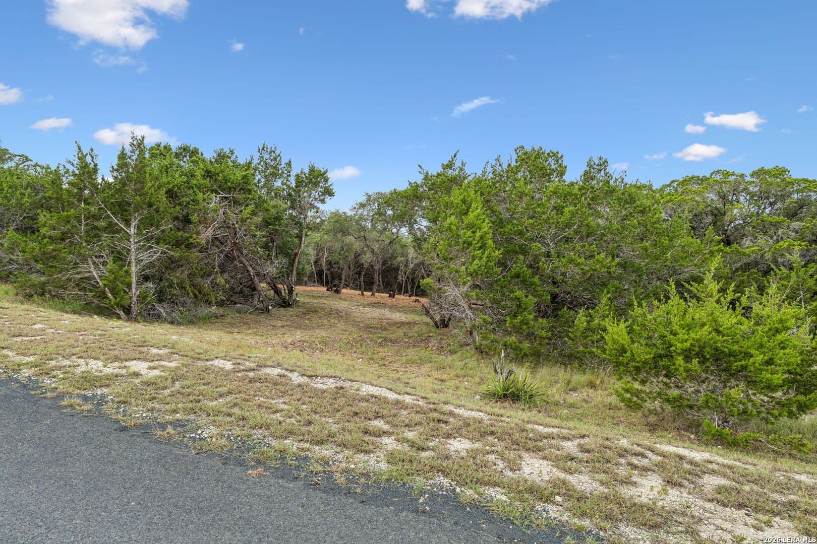 3.12 acres in Blanco County gallery image 2