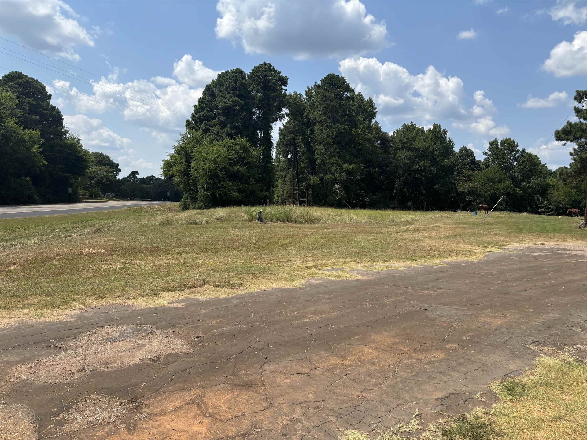 0.03 acres in Texas County gallery image 4