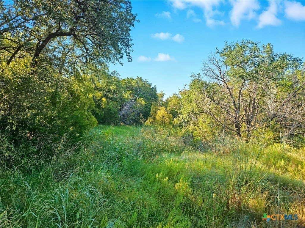 617.69 acres in Coryell County - photo 27