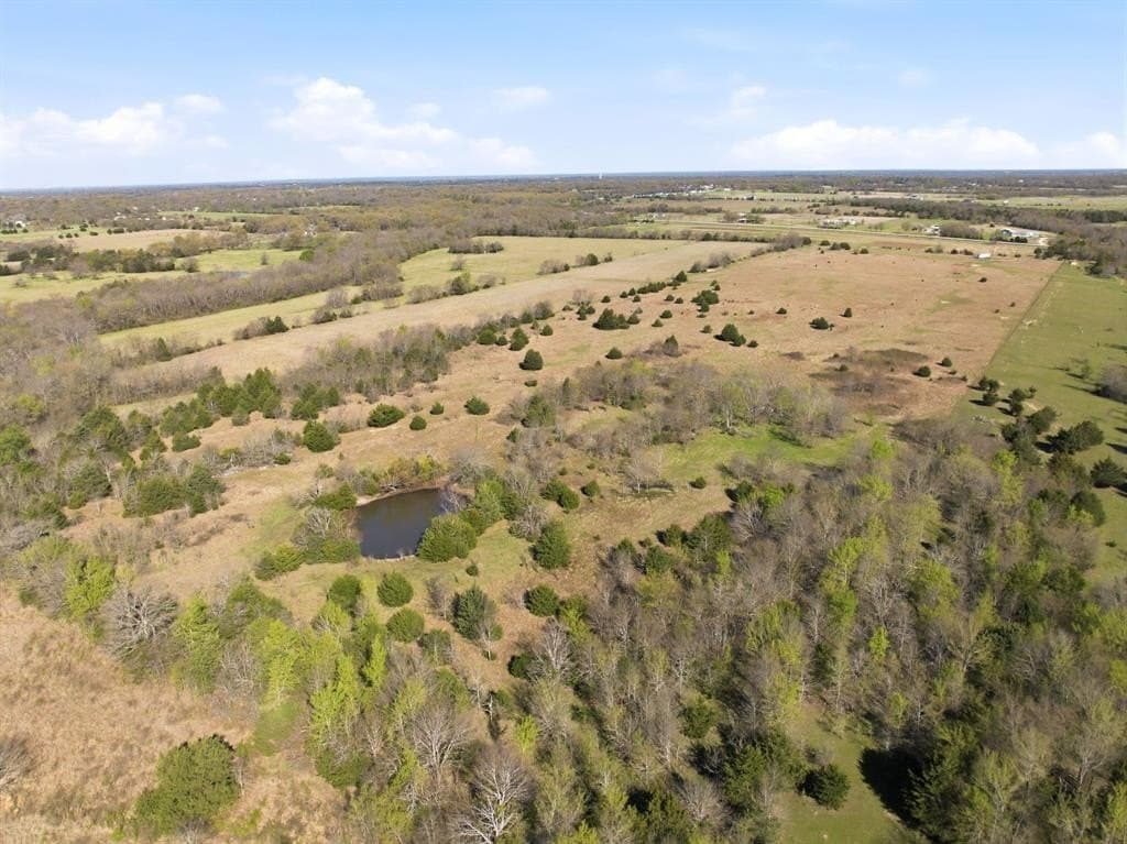 40 acres in Hunt County gallery image 2
