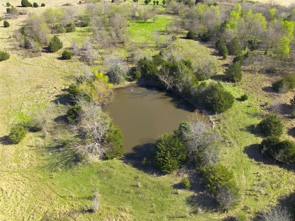 40 acres in Hunt County gallery image 3