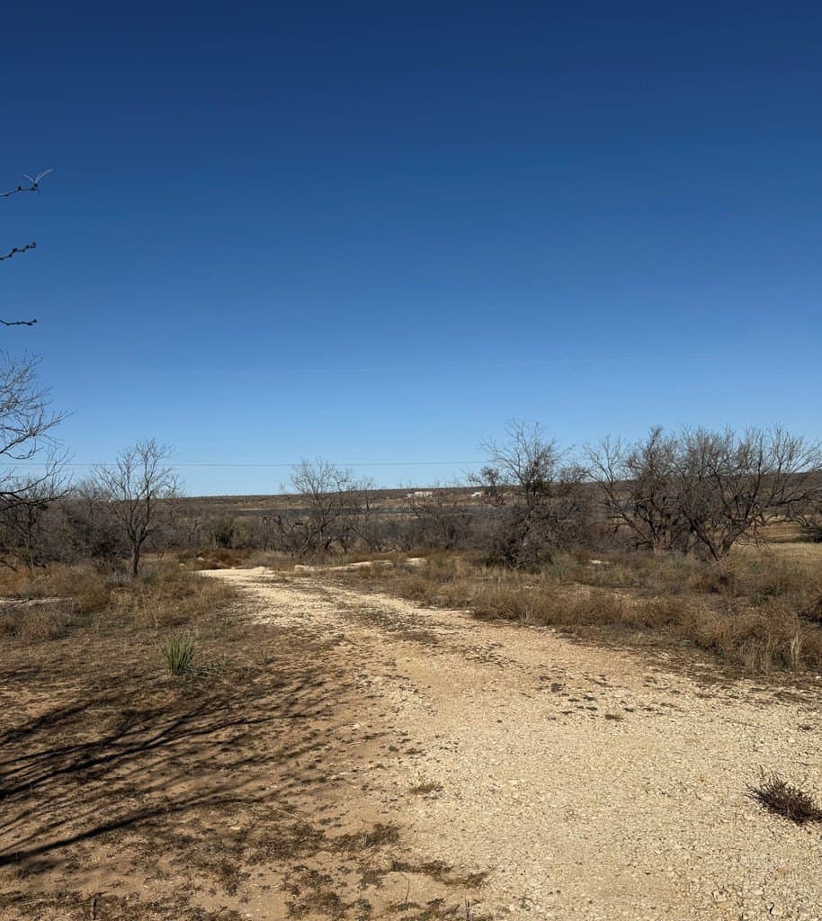 0.5 acres in Mitchell County - photo 9