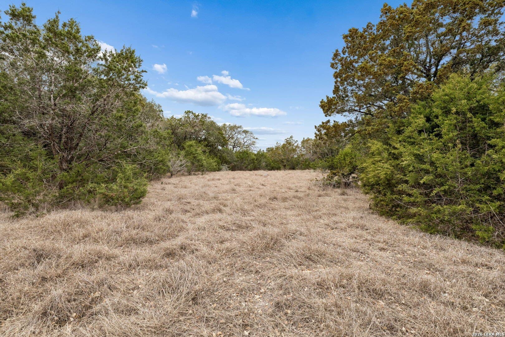 3.27 acres in Comal County - photo 14