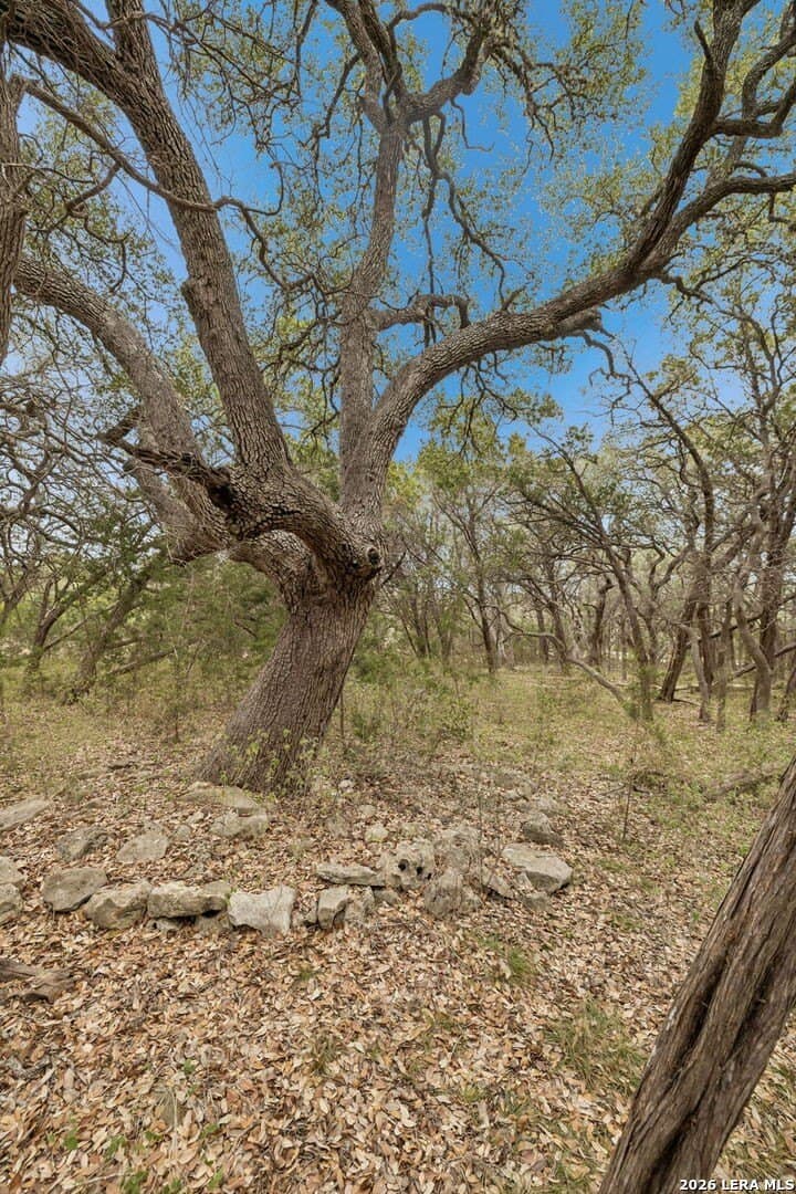 3.27 acres in Comal County - photo 17