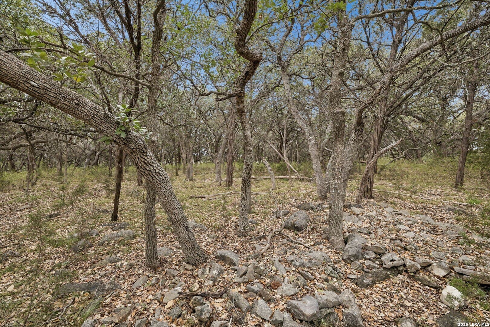 3.27 acres in Comal County - photo 15