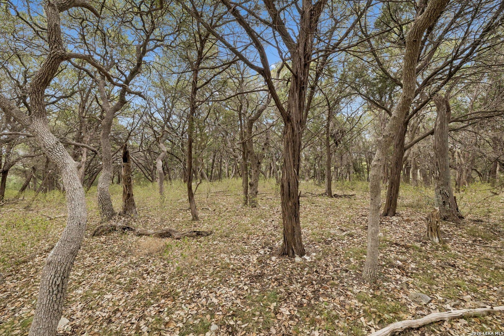 3.27 acres in Comal County - photo 16