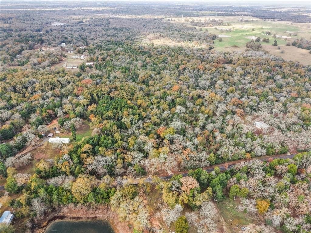 6.59 acres in Freestone County gallery image 3