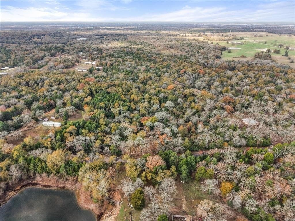 6.59 acres in Freestone County gallery image 2