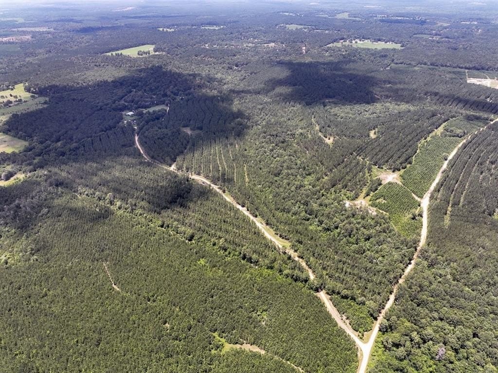 28 acres in Tyler County gallery image 3
