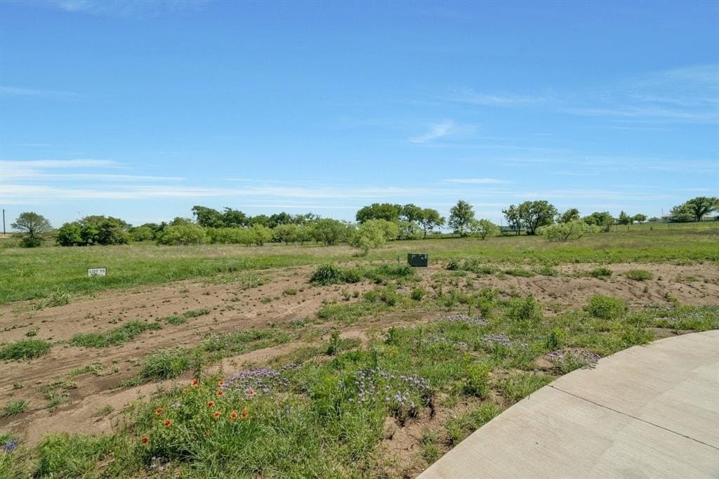 2.01 acres in Parker County gallery image 3