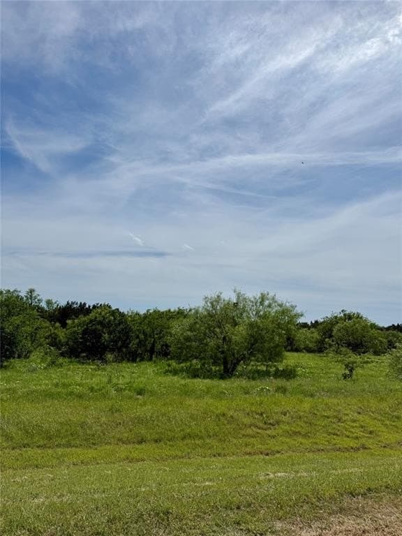 5.2 acres in Palo Pinto County gallery image 3