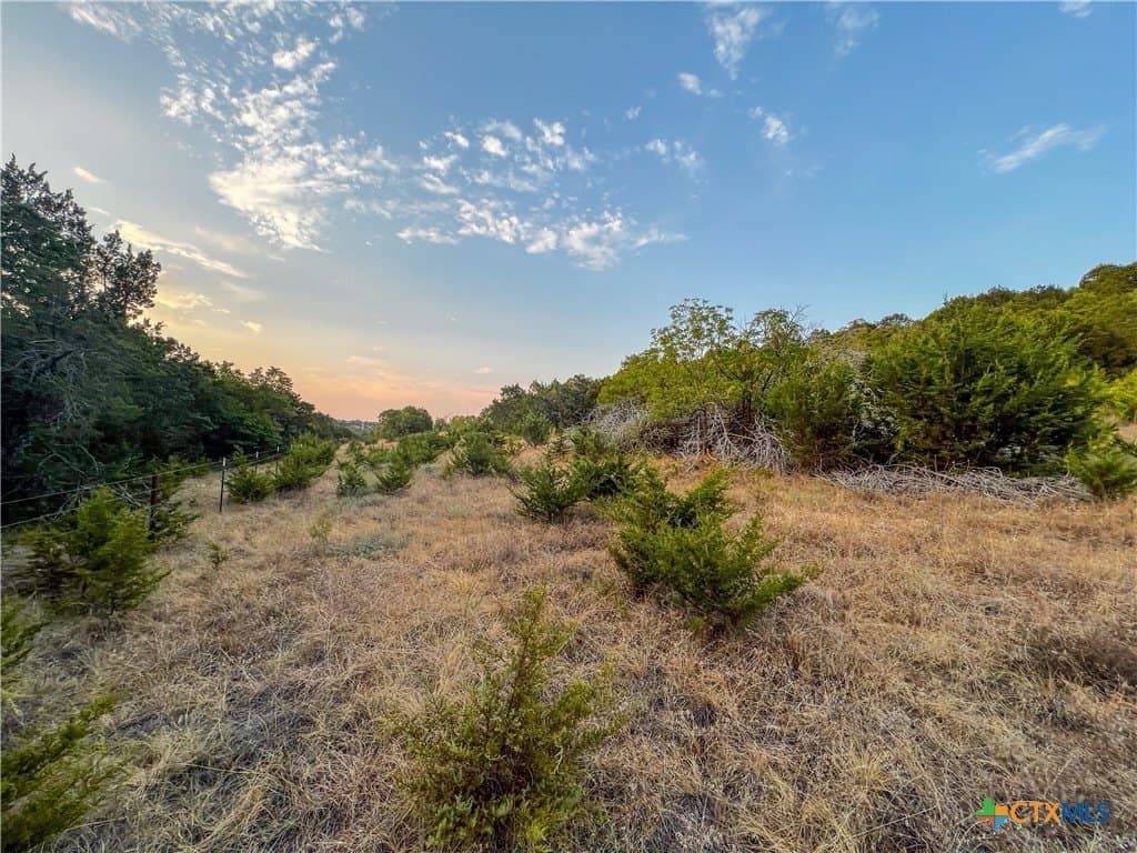 10.02 acres in Lampasas County - photo 2