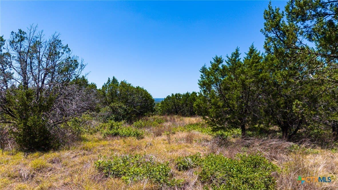 10.02 acres in Lampasas County - photo 27