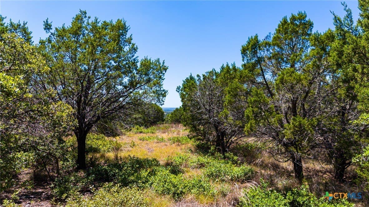 10.02 acres in Lampasas County - photo 26
