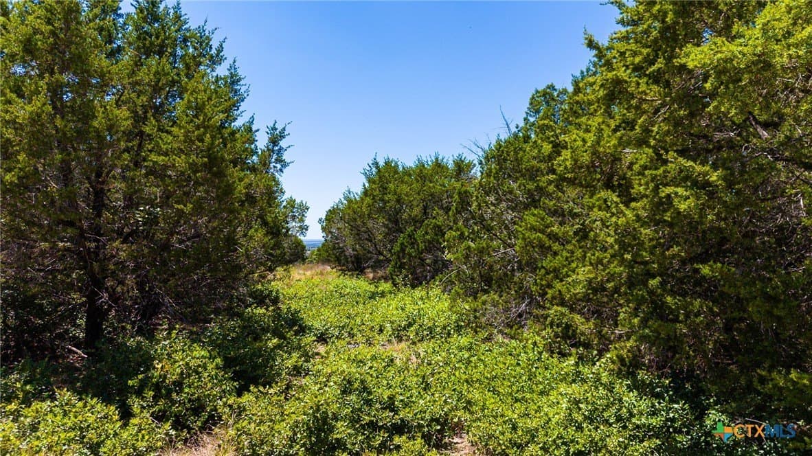 10.02 acres in Lampasas County - photo 25