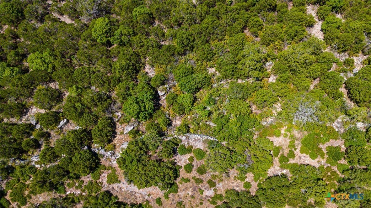 10.02 acres in Lampasas County - photo 23