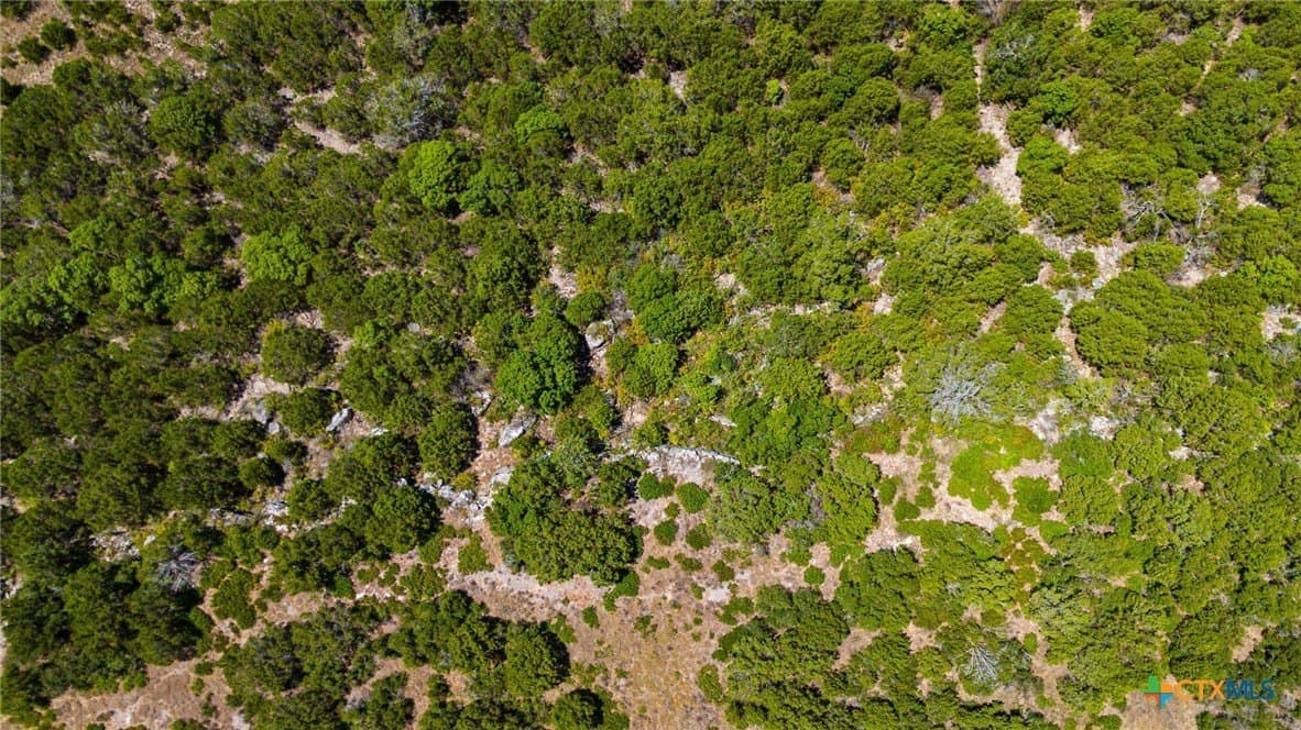 10.02 acres in Lampasas County - photo 24