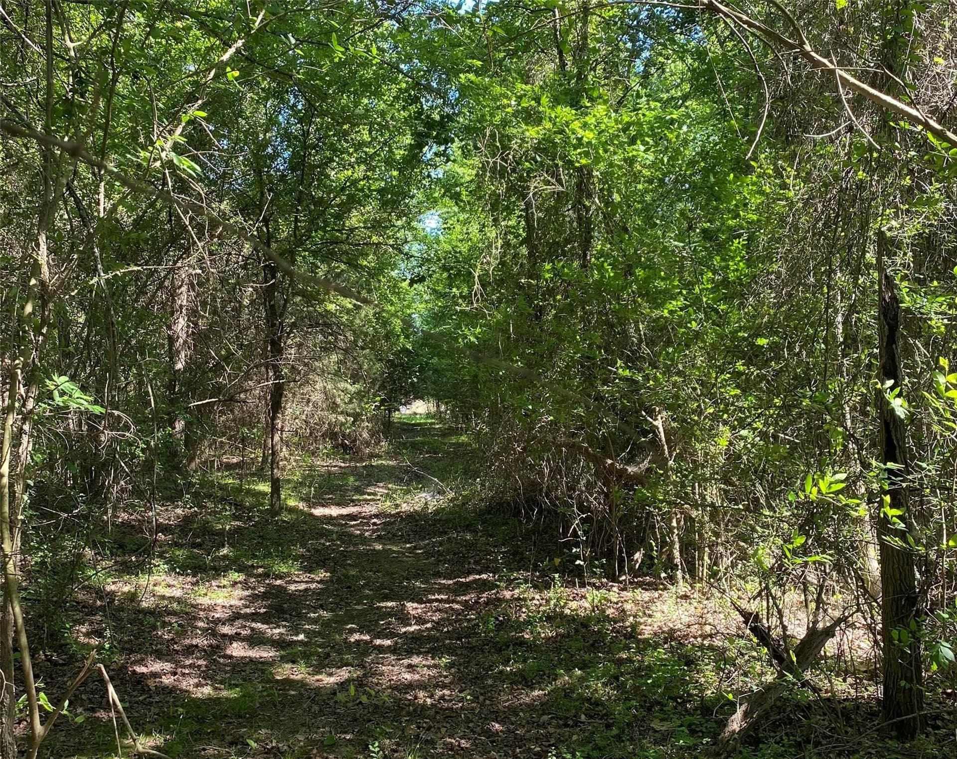 37.7 acres in Wood County featured view