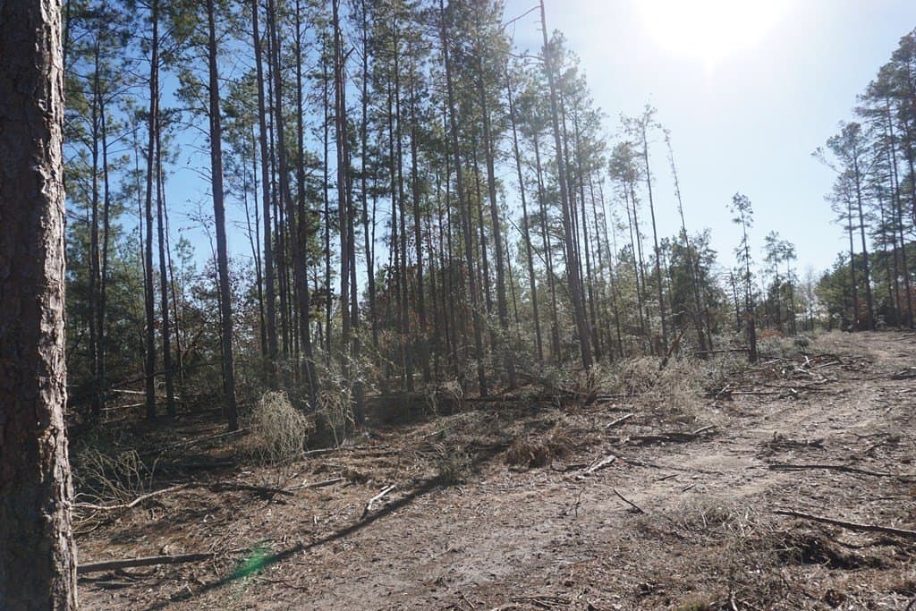 16.92 acres in LEON County featured view