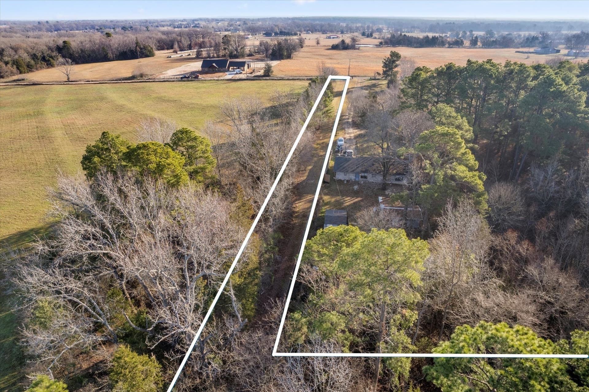 12.47 acres in Titus County - photo 6