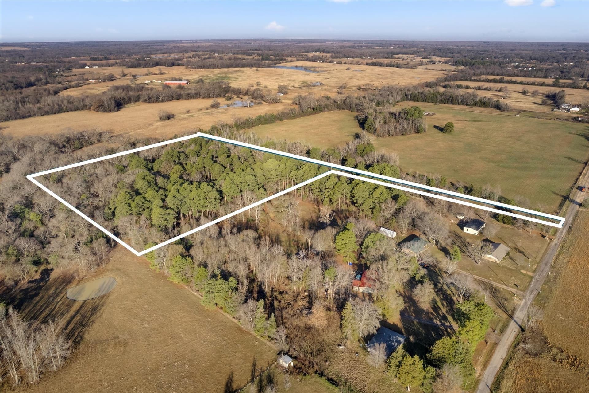 12.47 acres in Titus County - photo 7