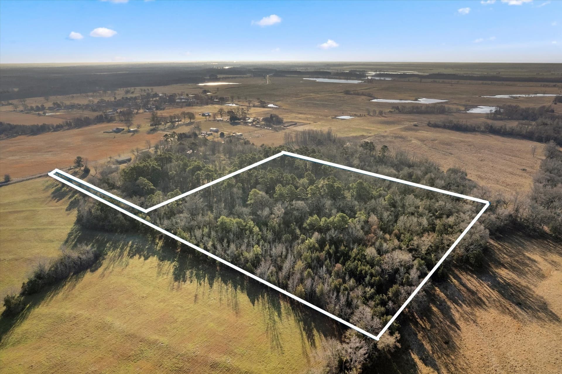 12.47 acres in Titus County - photo 4