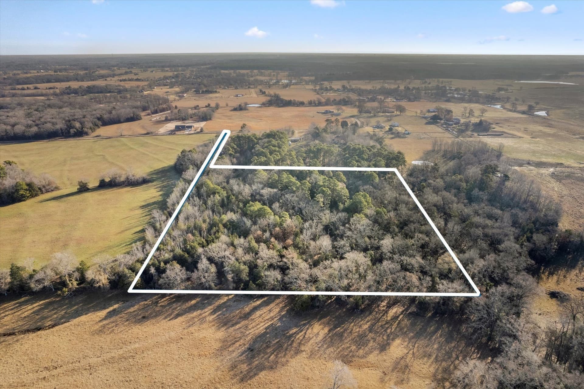 12.47 acres in Titus County - photo 11