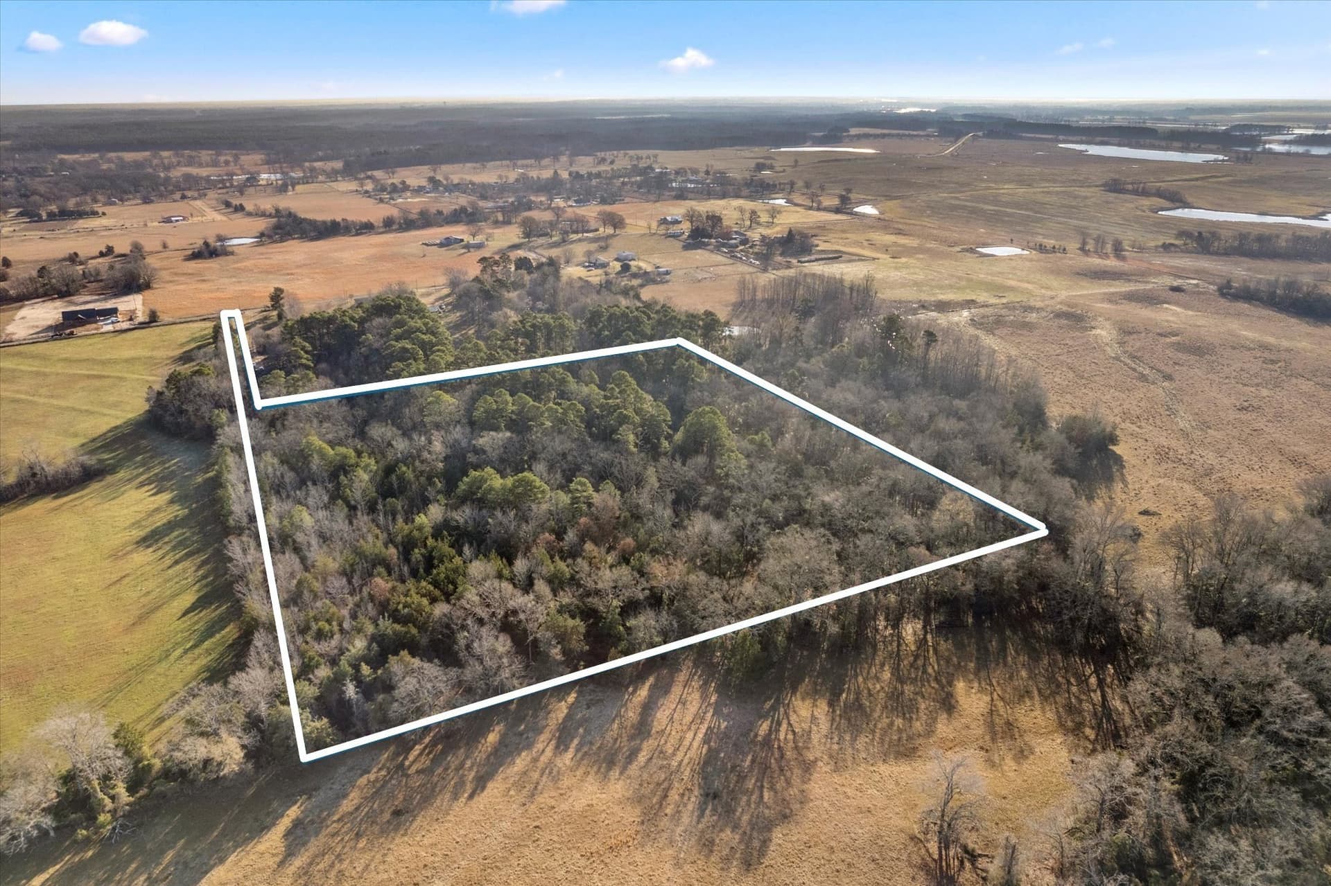 12.47 acres in Titus County - photo 5