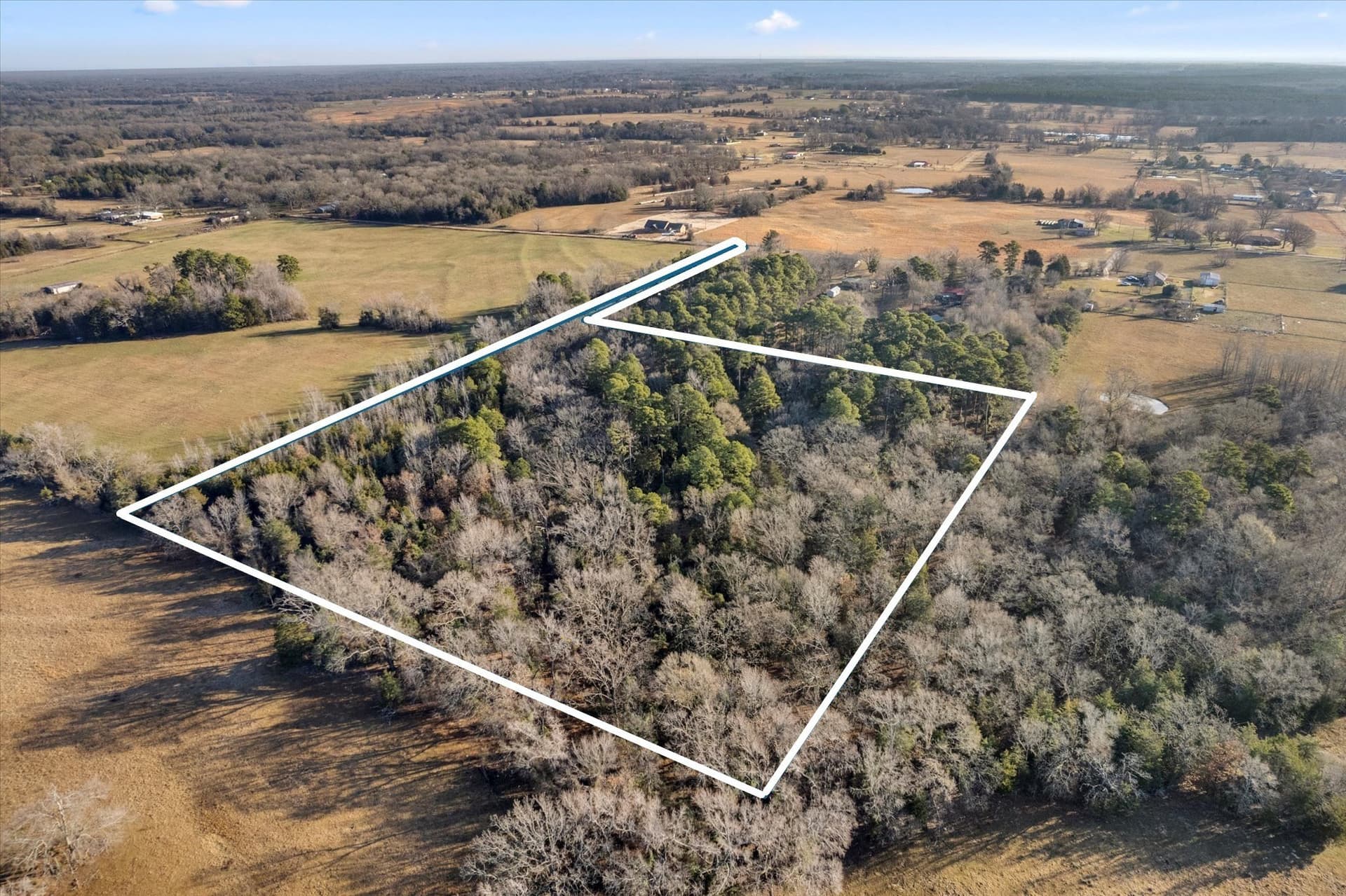 12.47 acres in Titus County - photo 14