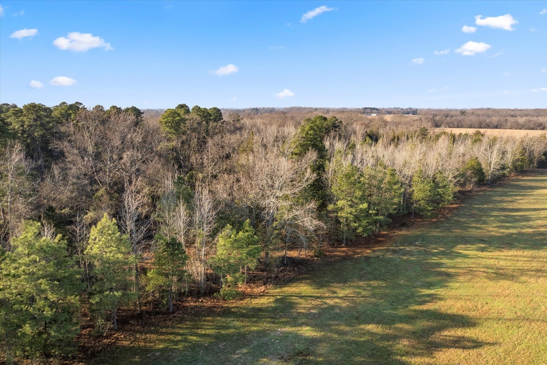 12.47 acres in Titus County - photo 9