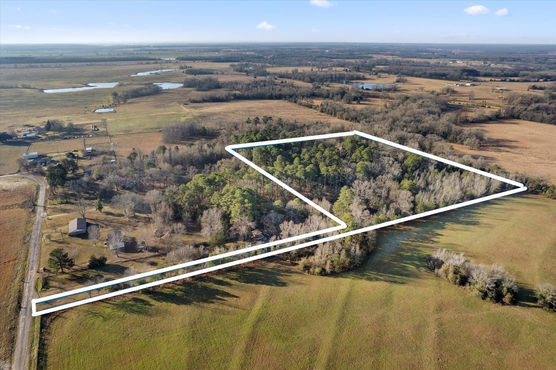 12.47 acres in Titus County - photo 3