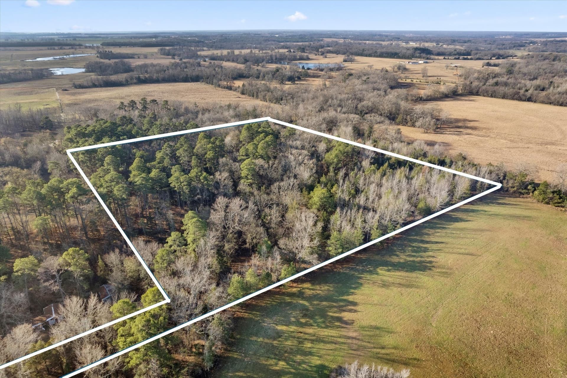 12.47 acres in Titus County - photo 13