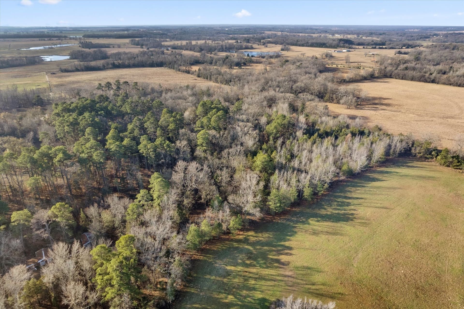 12.47 acres in Titus County - photo 12