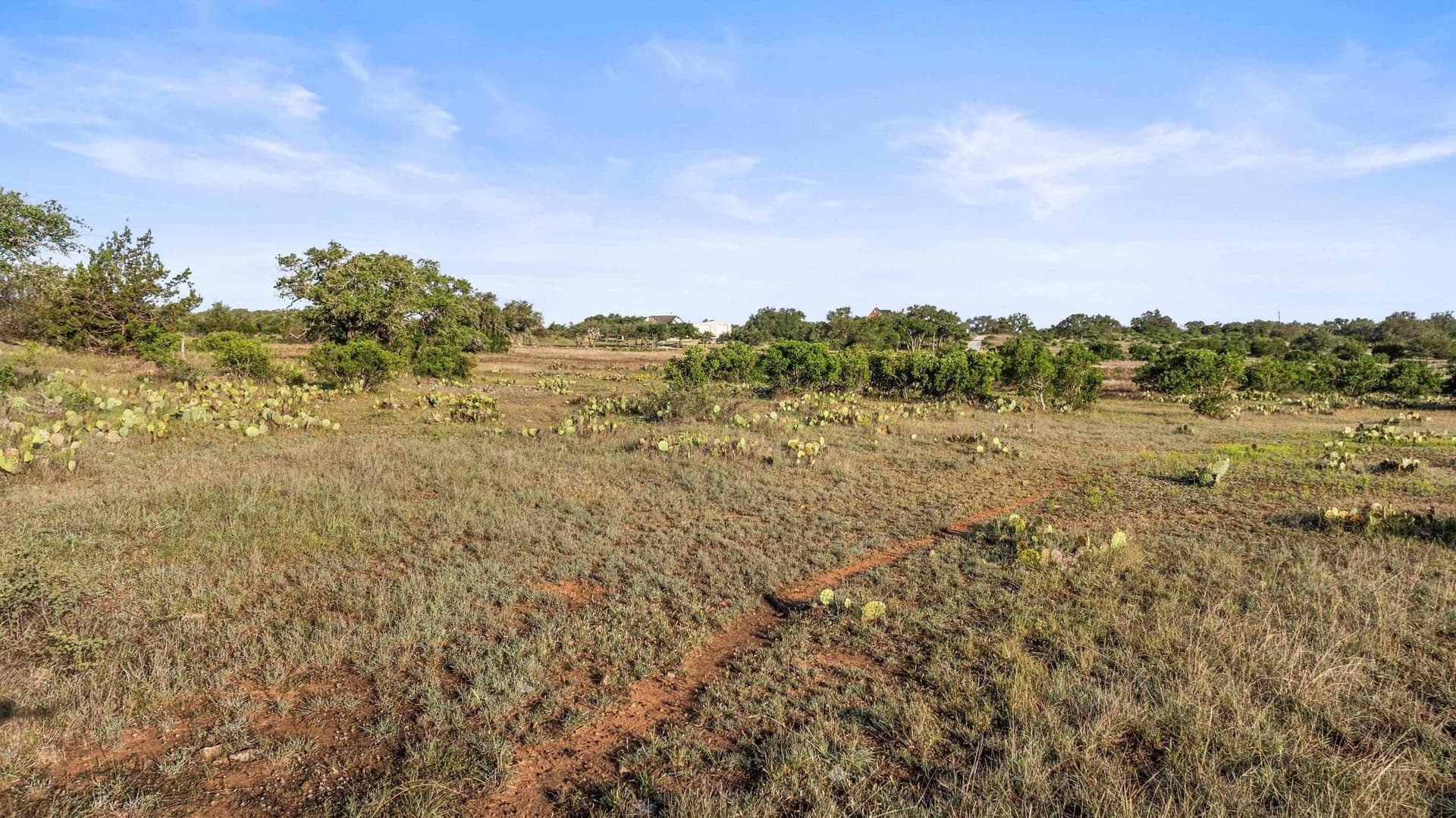 5 acres in Blanco County gallery image 2