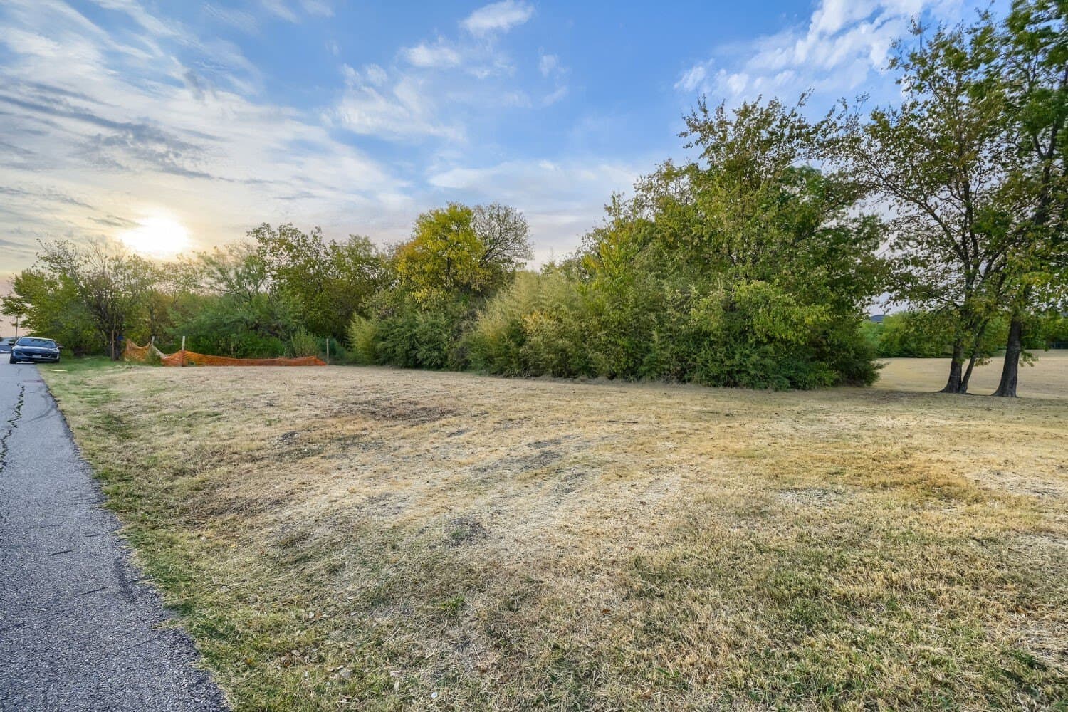 0.38 acres in Dallas County - photo 5