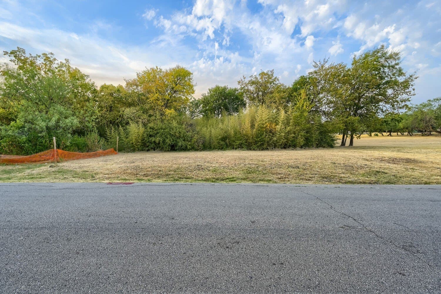 0.38 acres in Dallas County - photo 3