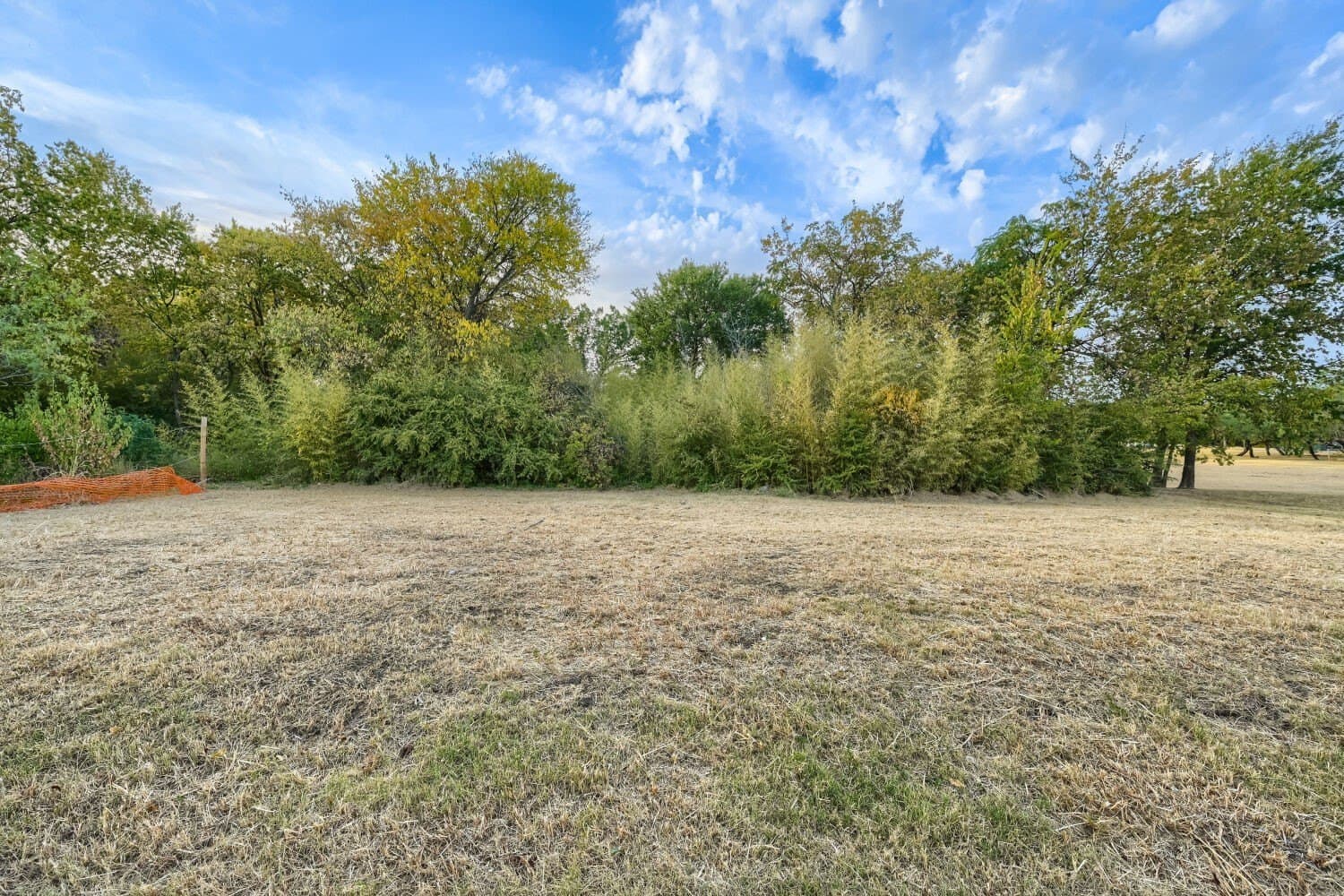 0.38 acres in Dallas County - photo 4