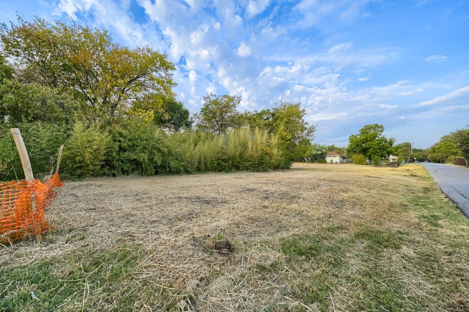 0.38 acres in Dallas County - photo 2