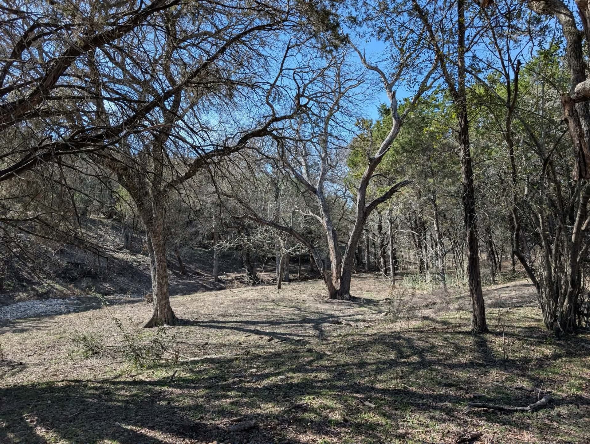 366.47 acres in Burnet County - photo 37
