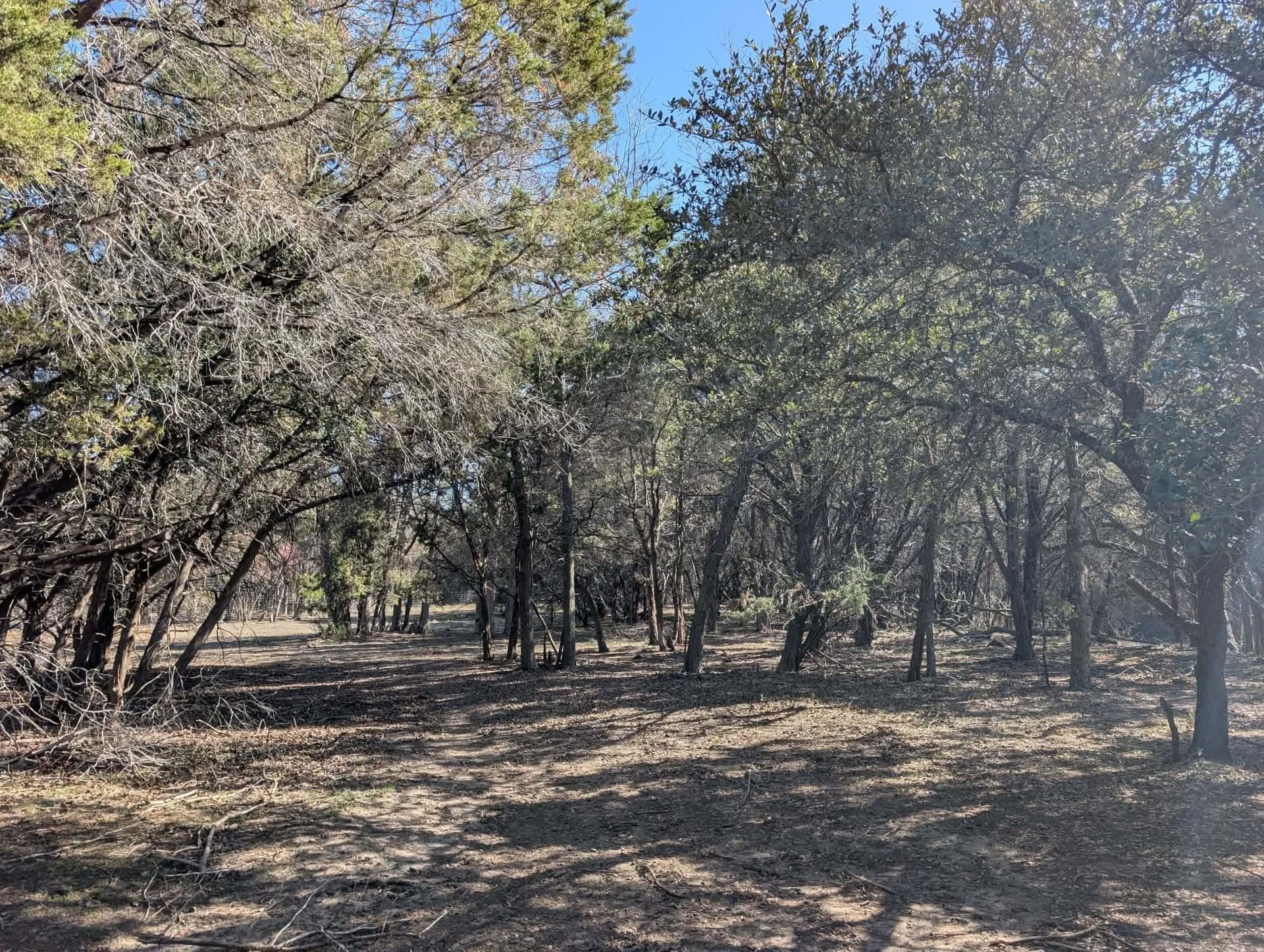 366.47 acres in Burnet County - photo 39