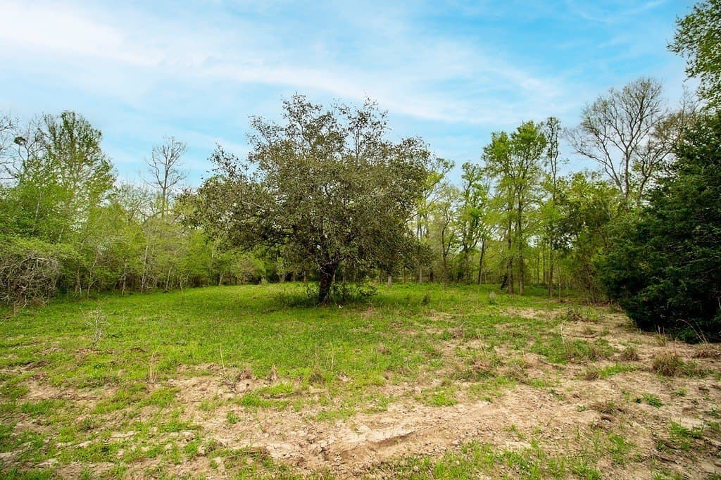 40.8 acres in Fayette County - photo 17