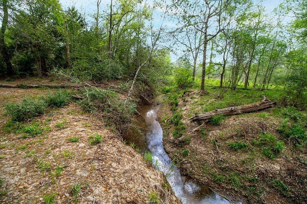 40.8 acres in Fayette County - photo 6