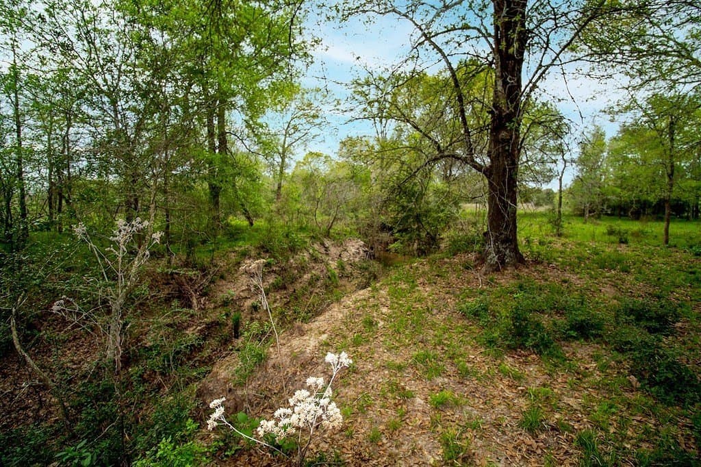 40.8 acres in Fayette County - photo 7