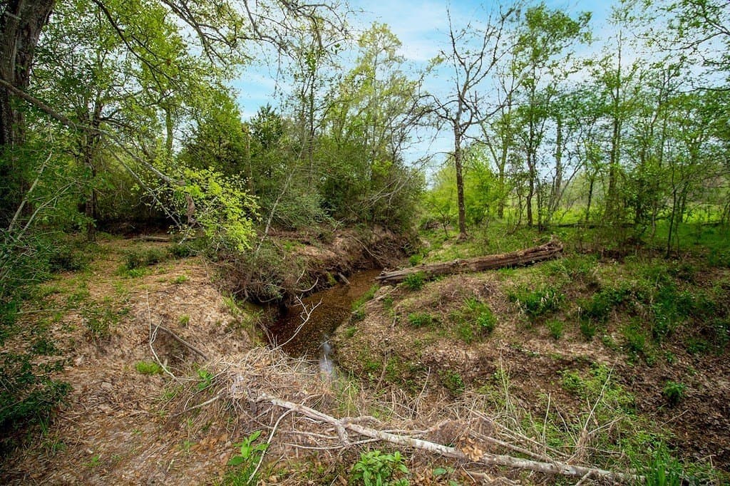 40.8 acres in Fayette County - photo 8