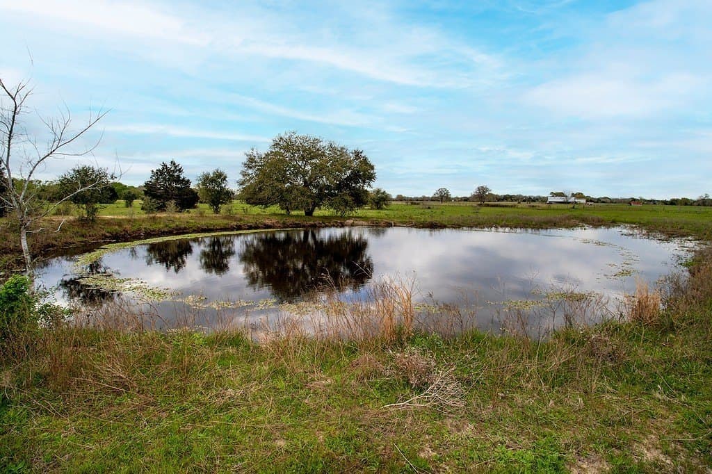 40.8 acres in Fayette County - photo 13
