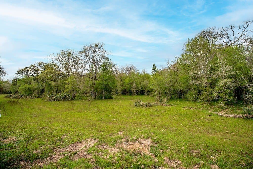 40.8 acres in Fayette County - photo 15