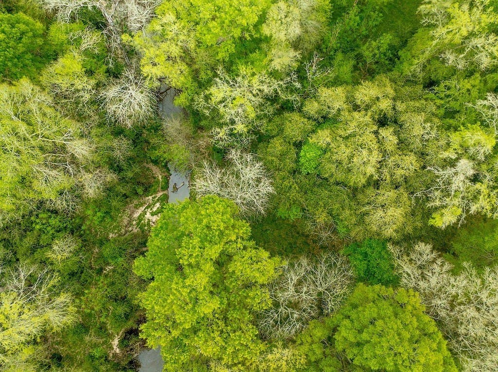 40.8 acres in Fayette County - photo 9